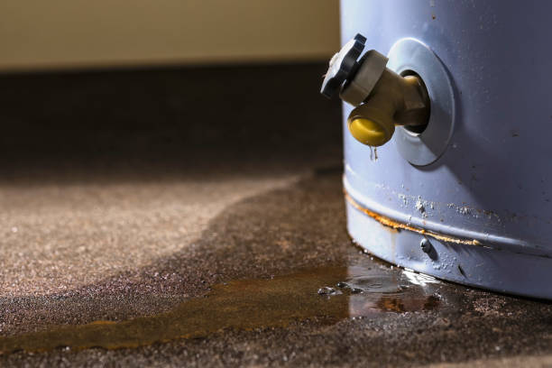 Best Water damage contractors near me  in Ashton, ID