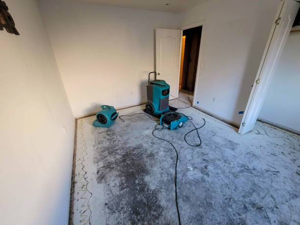 Best Commercial water damage restoration  in Ashton, ID