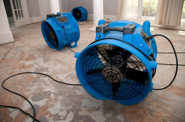 Best Sewage cleanup and water damage restoration  in Ashton, ID