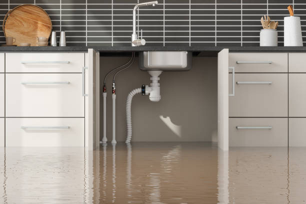 Best Water damage restoration near me  in Ashton, ID