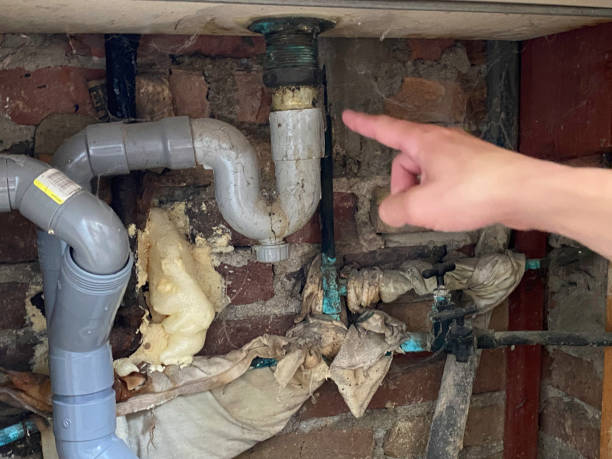 Best Mold removal after water damage  in Ashton, ID