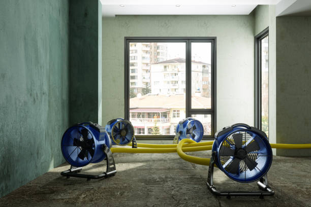 Best Carpet water damage restoration  in Ashton, ID