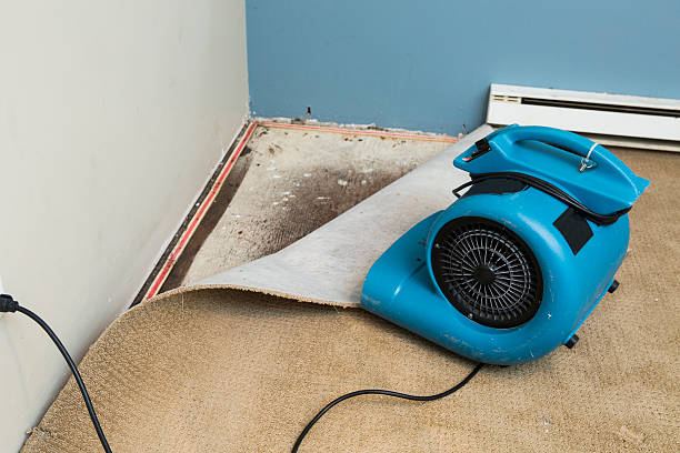 Best Residential water damage restoration  in Ashton, ID